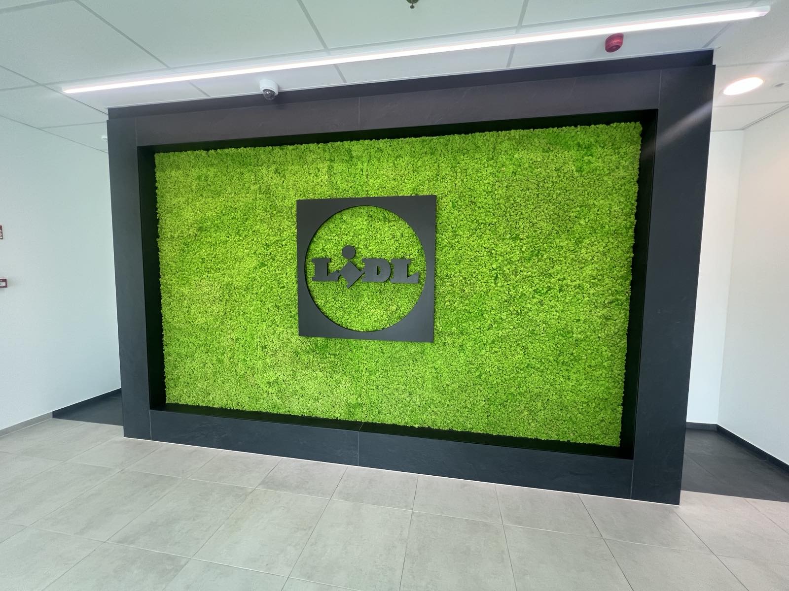 Lidl beltéri dekoráció